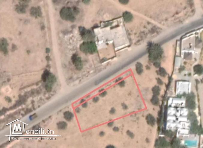 910m2 titré + permis de bâtir Mezraya