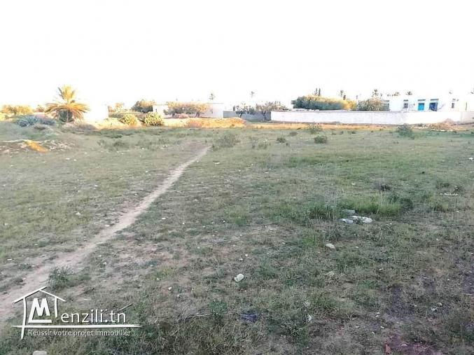 4400m2 titre en cour Guechaine