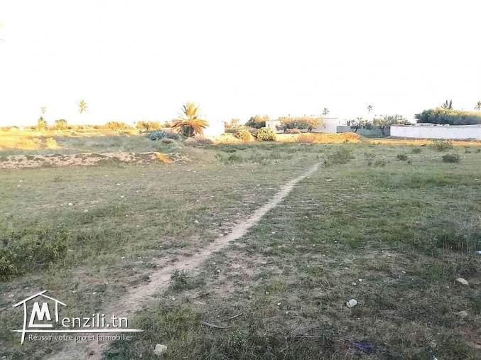 4400m2 titre en cour Guechaine