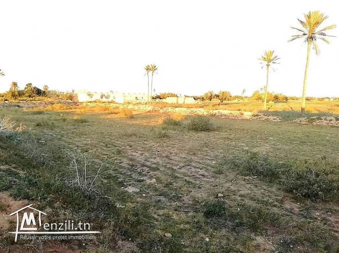 4400m2 titre en cour Guechaine