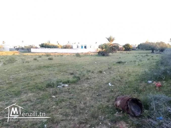 4400m2 titre en cour Guechaine