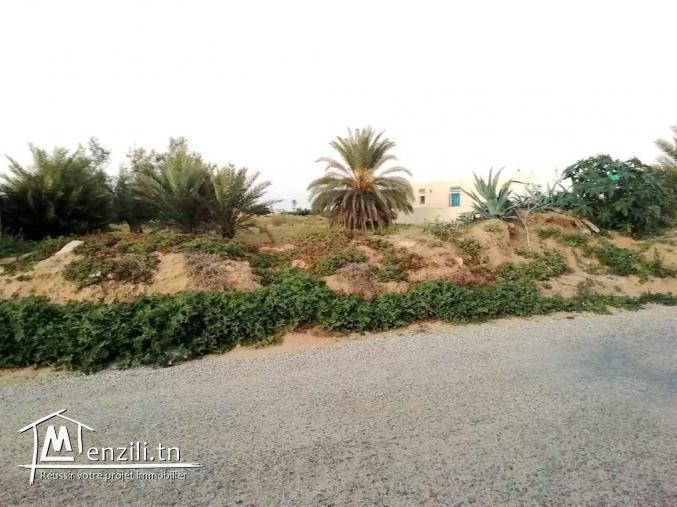 4400m2 titre en cour Guechaine