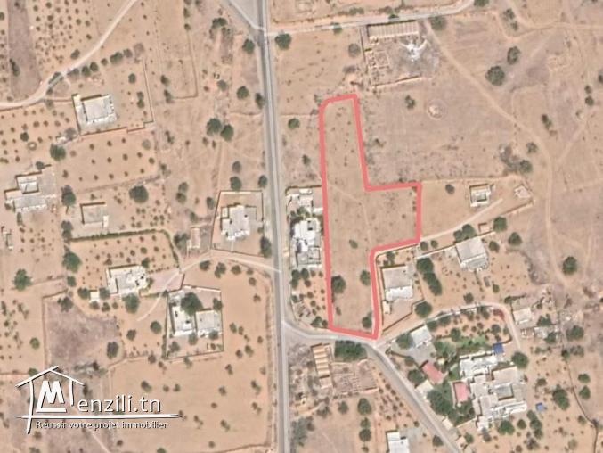 4400m2 titre en cour Guechaine