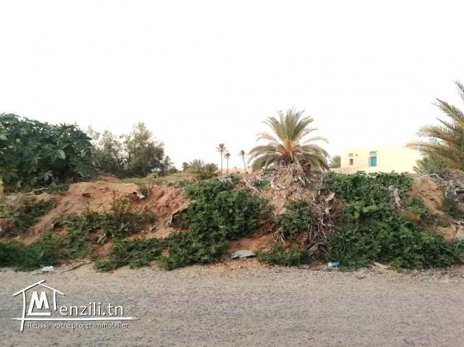 4400m2 titre en cour Guechaine