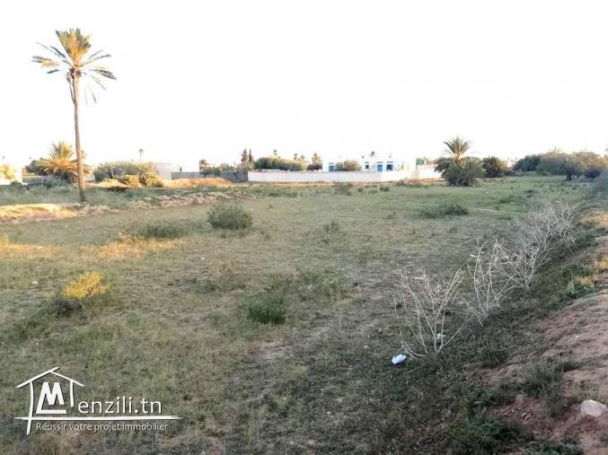 4400m2 titre en cour Guechaine