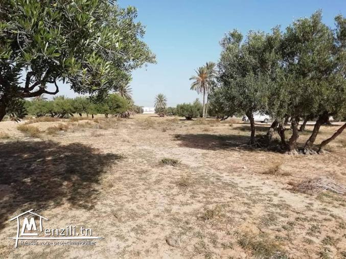 1200m2 +permis de bâtir