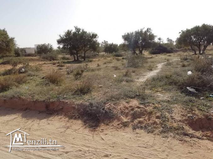 1200m2 +permis de bâtir