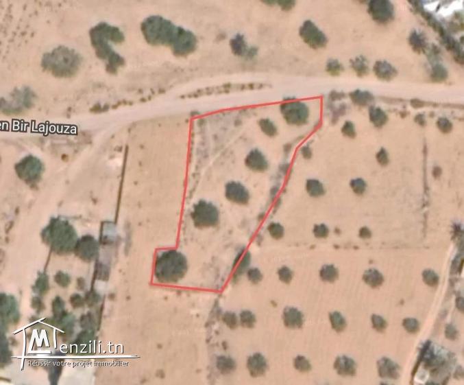 1200m2 +permis de bâtir