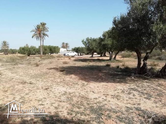 1200m2 +permis de bâtir