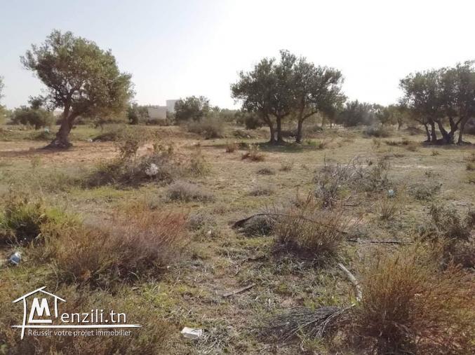 1200m2 +permis de bâtir