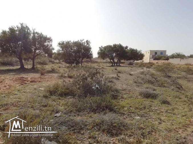 1200m2 +permis de bâtir