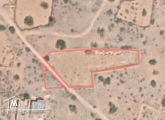 1700m2 titré + permis de bâtir