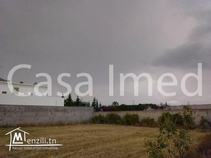 un terrain de 2500 m2