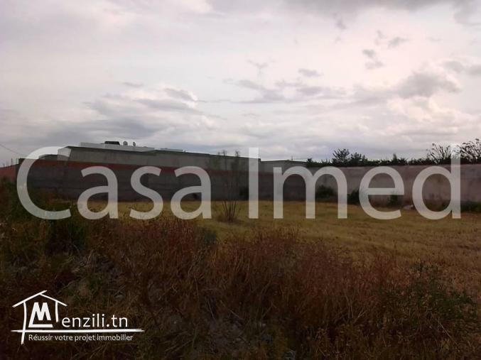 un terrain de 2500 m2