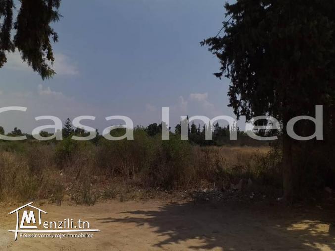 un terrain de 400 m2/500m2