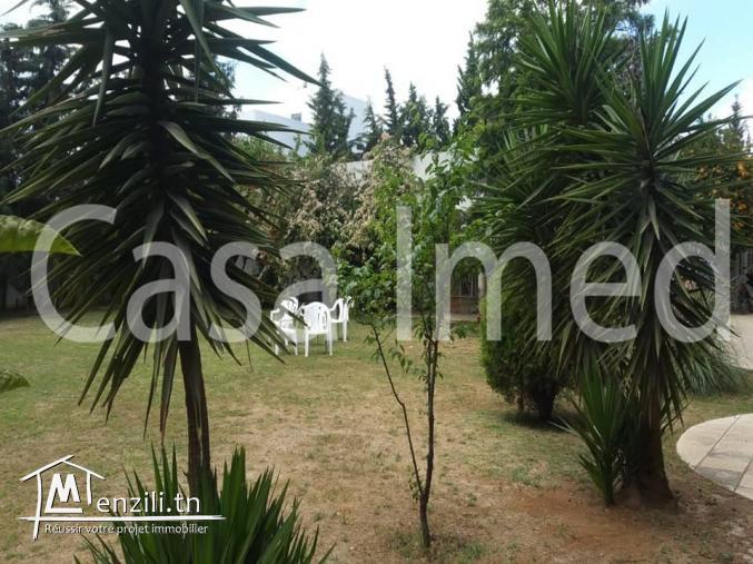 un terrain de 650 m2