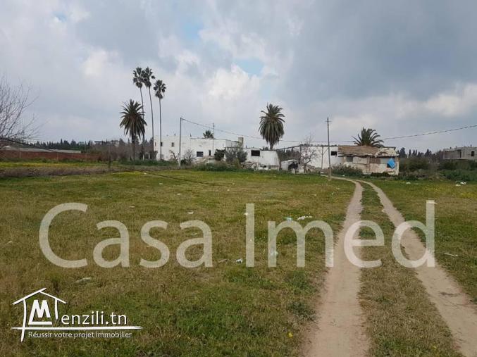 Lotissement à ne pas rater sur route principale en plein Soukra 