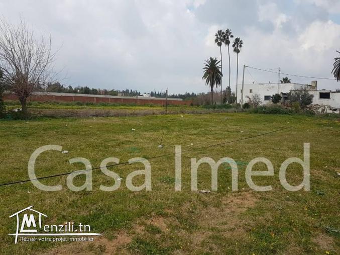 Lotissement à ne pas rater sur route principale en plein Soukra 