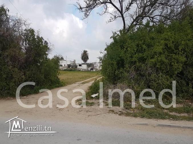 Lotissement à ne pas rater sur route principale en plein Soukra 