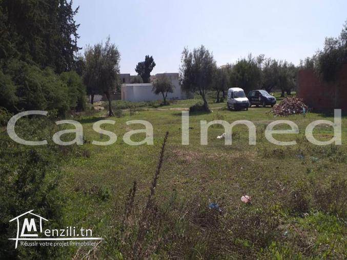 un terrain de 375 m2