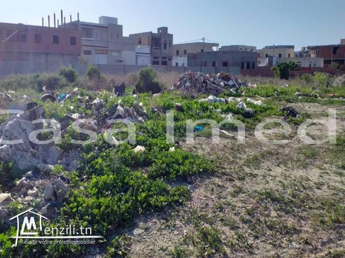 un terrain de 367 m2