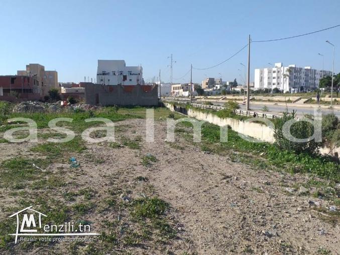 un terrain de 367 m2