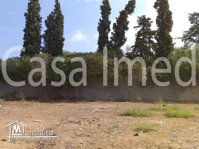 un terrain de 1449 m2