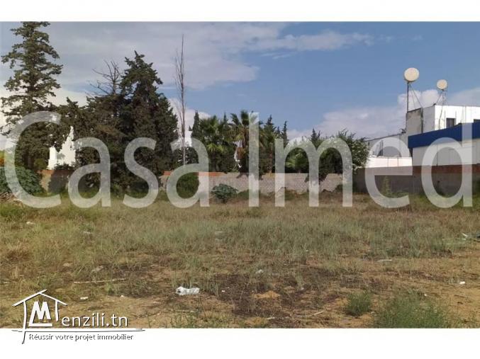 un terrain de 1449 m2