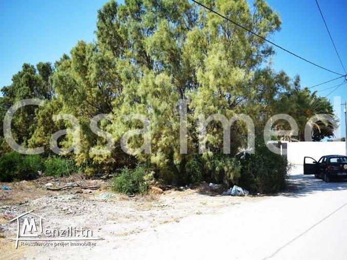 un terrain de 590 m2