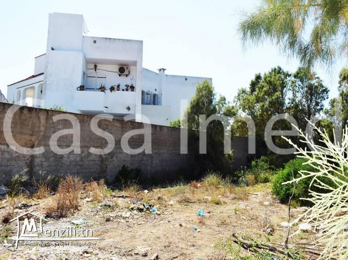 un terrain de 590 m2