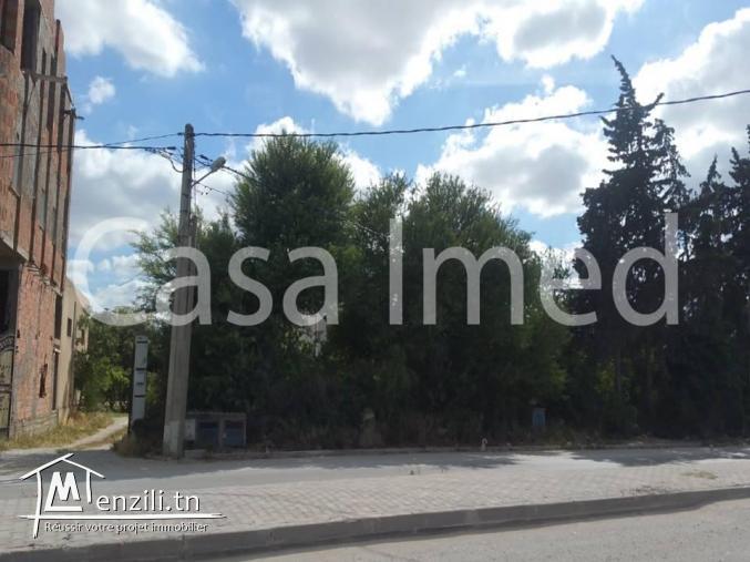 un terrain de 455 m2