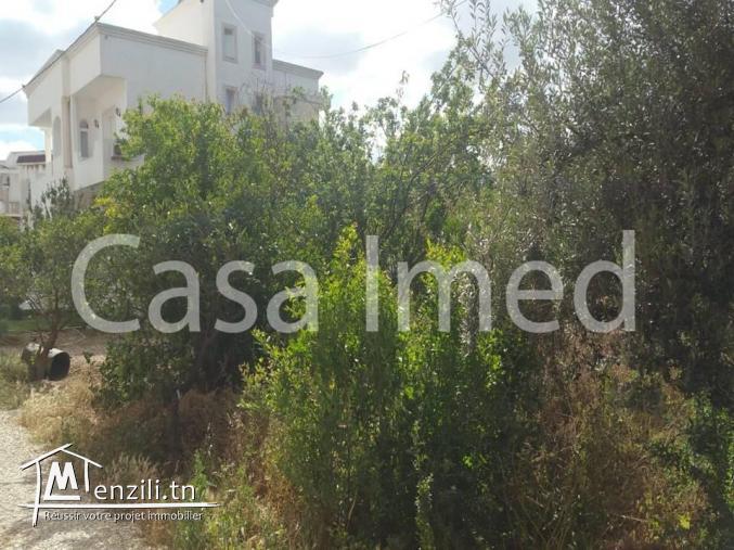 un terrain de 455 m2