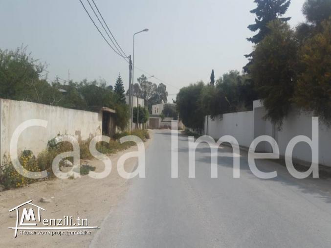 un terrain de 600 m2