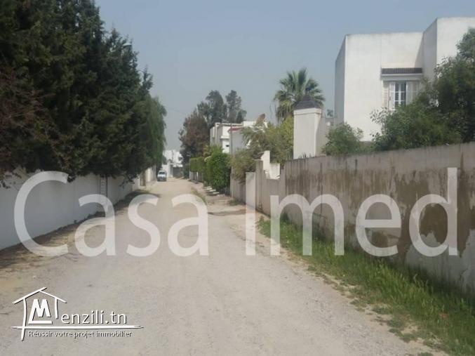 un terrain de 600 m2