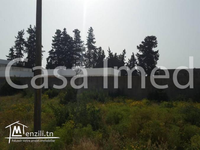 un terrain de 930 m2