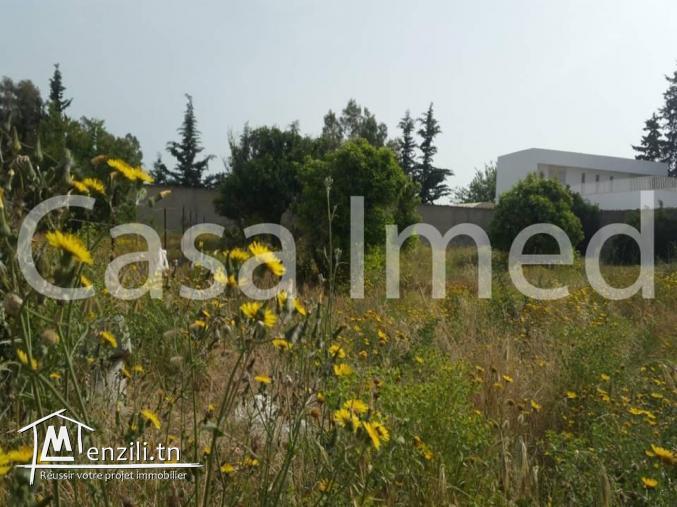 un terrain de 930 m2