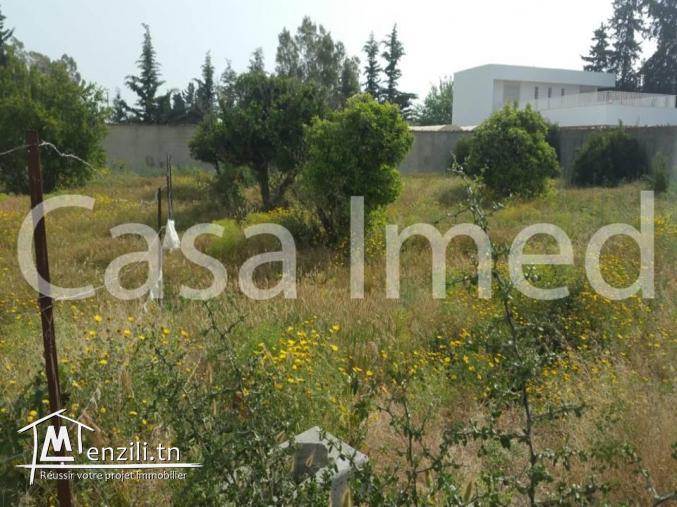 un terrain de 930 m2