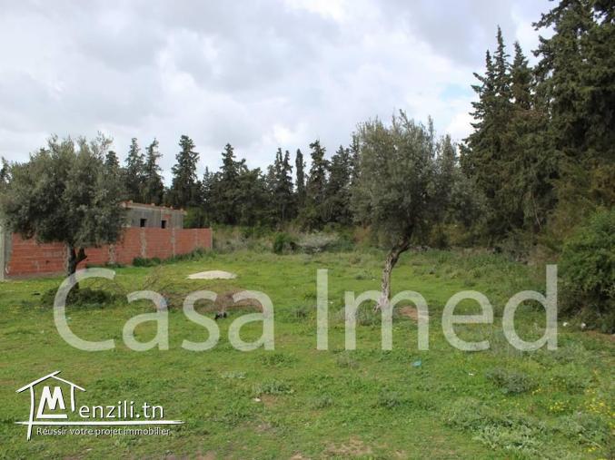 un terrain de 350 m2