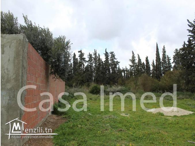 un terrain de 350 m2