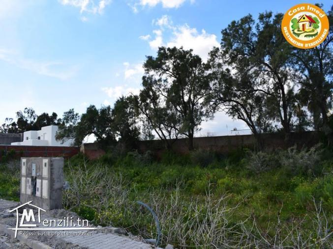 Deux terrains de rêve viabilisés en plein Soukra !!! 