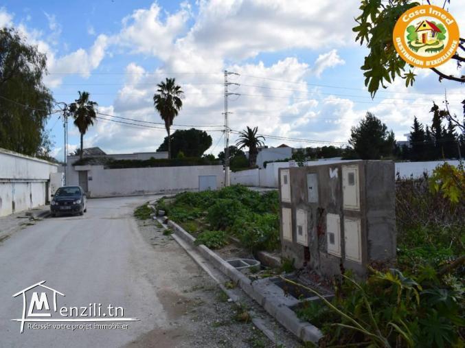 Deux terrains de rêve viabilisés en plein Soukra !!! 