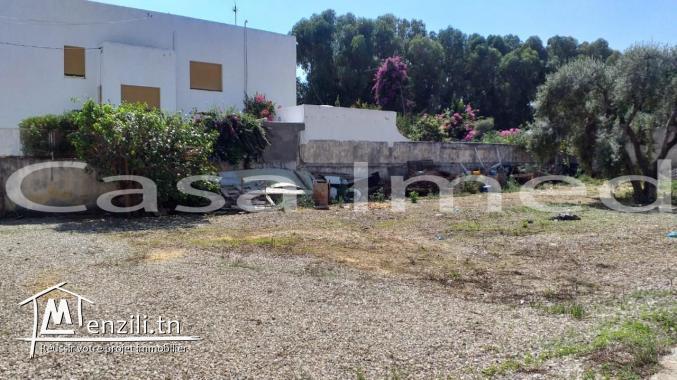 un terrain de 1383 m2