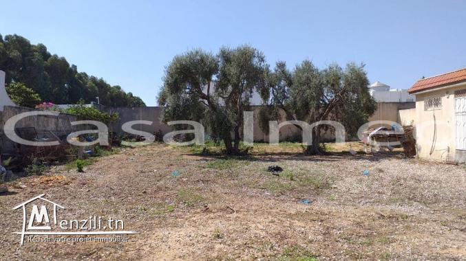 un terrain de 1383 m2