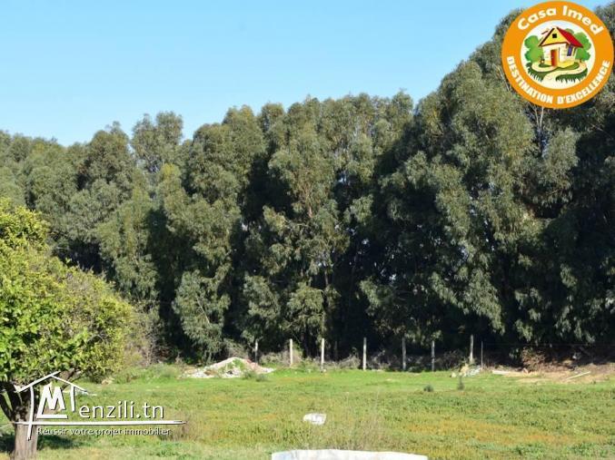 un terrain de 357 m2