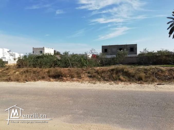 2394m2 titré 1er position Mezraya