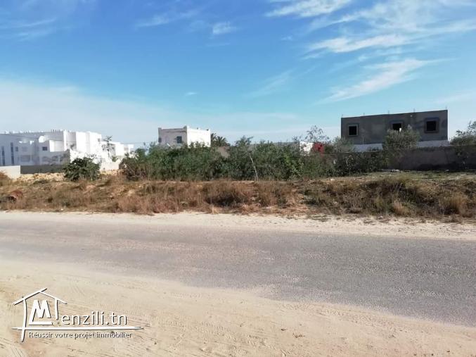 2394m2 titré 1er position Mezraya