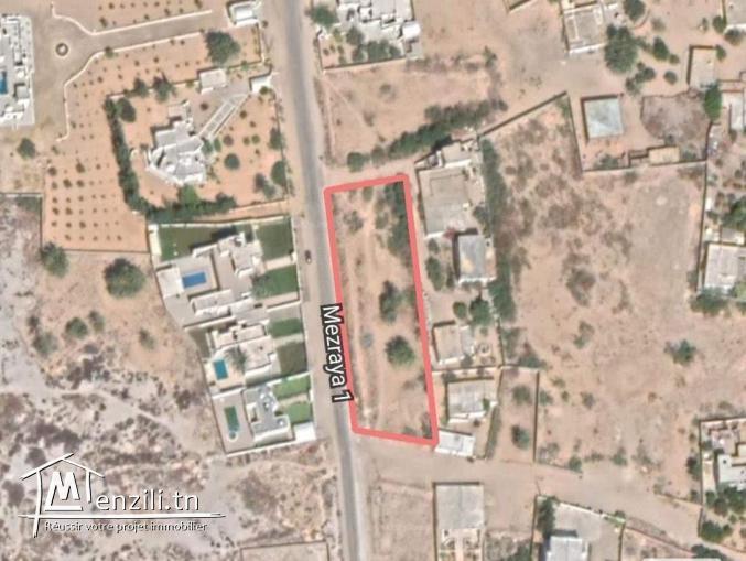 2394m2 titré 1er position Mezraya