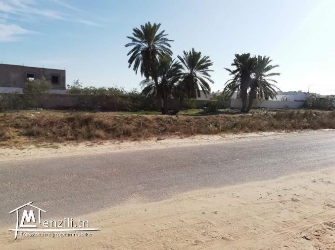 2394m2 titré 1er position Mezraya