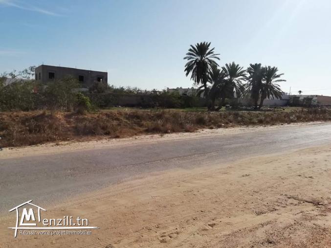 2394m2 titré 1er position Mezraya