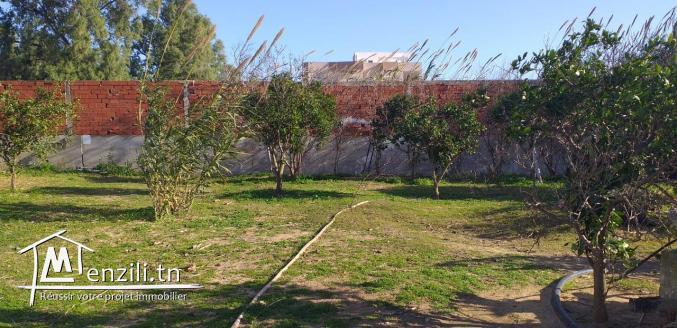 terrain en plein Soukra de 820 m2